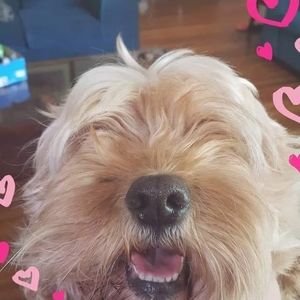 Meet your Posher, Kylie